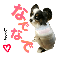 [LINEスタンプ] ちんちくりんの日常。 