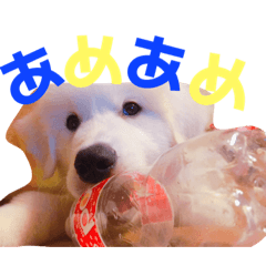 [LINEスタンプ] あたいたち と てん 