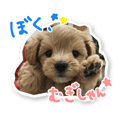 [LINEスタンプ] むぎむぎむぎしゃん