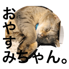 [LINEスタンプ] ベルチャンポンチャン