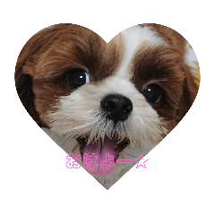 [LINEスタンプ] ぷぅ＆しぃ 