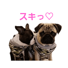 [LINEスタンプ] パグのレオくん＆ボストンテリアのトムくん 
