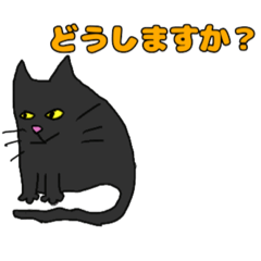 [LINEスタンプ] 猫のスタンプです。2 