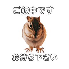 [LINEスタンプ] 動物スタンプ2