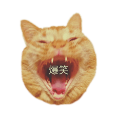 [LINEスタンプ] なな＆ろく 