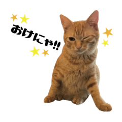 [LINEスタンプ] うちのエデンちゃん