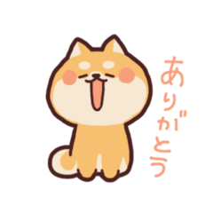 [LINEスタンプ] モチョモチョした柴犬        もちょしば