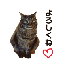 [LINEスタンプ] ポムとポチャとペコとベル2