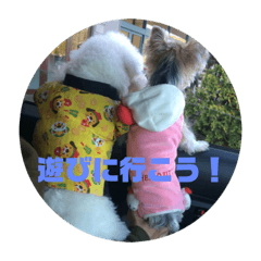 [LINEスタンプ] 來夢   #1 