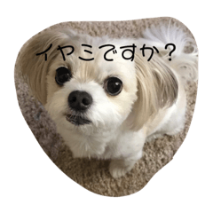 [LINEスタンプ] つなまよ 