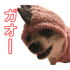 [LINEスタンプ] そると@犬 
