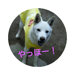 [LINEスタンプ] つくしのすたんぷ。〜たまにおともだち〜