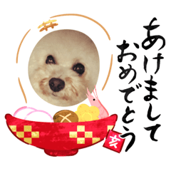 [LINEスタンプ] ねねたん