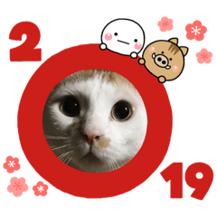 [LINEスタンプ] はぬたんのスタンプ