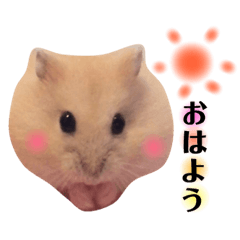[LINEスタンプ] 日常ハムスター