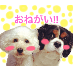 [LINEスタンプ] ティムベル
