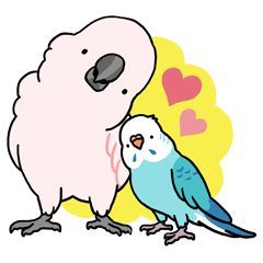 [LINEスタンプ] 鳥まみれスタンプ 