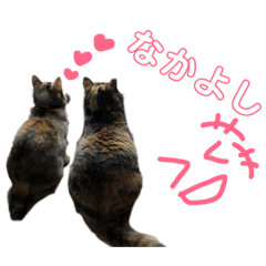 [LINEスタンプ] わが家のさびしちちゃんスタンプ❶ 