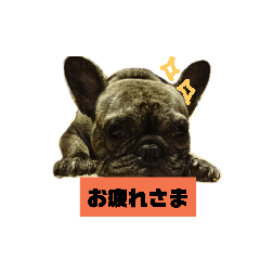 [LINEスタンプ] ペグッチ 