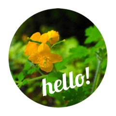 [LINEスタンプ] 言葉と花