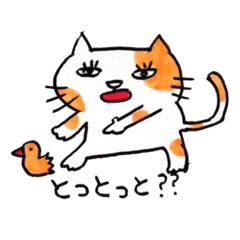 [LINEスタンプ] 九州方言 ・熊本弁猫の肥後たまの画像（メイン）