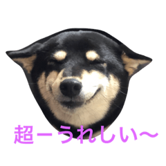 [LINEスタンプ] クマとさくら 