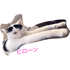 [LINEスタンプ] トロスタイル 