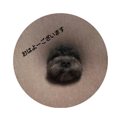 [LINEスタンプ] mojaとmiso02 