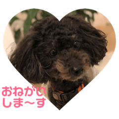 [LINEスタンプ] ジェイのおねがい 