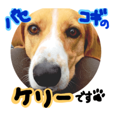 [LINEスタンプ] バセコギのケリーくん 