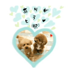 [LINEスタンプ] ごえもん＆そら 
