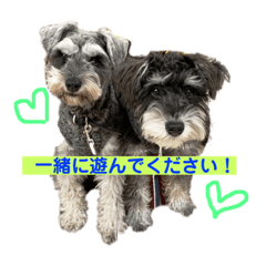 [LINEスタンプ] ジャック＆ウィル
