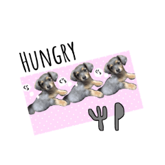 [LINEスタンプ] ROUIS stamppp