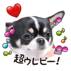 [LINEスタンプ] 絹ぞー