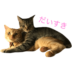 [LINEスタンプ] モカとまめた 
