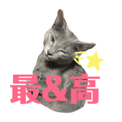 [LINEスタンプ] おはぎさん！2？