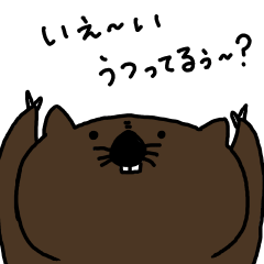 [LINEスタンプ] 全世界のウォンバットのためのスタンプ 