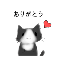 [LINEスタンプ] 猫いっぱい 【感謝の気持ち】
