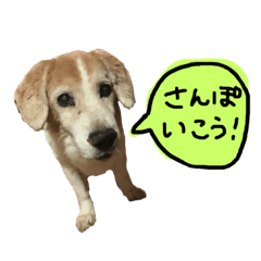 うちのムッさん