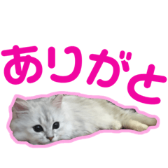 [LINEスタンプ] アリスとアビー
