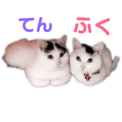 [LINEスタンプ] てんとふく