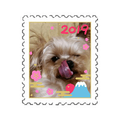 [LINEスタンプ] 竜くんスタイル