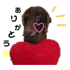 [LINEスタンプ] 廣瀬家のちょっさん