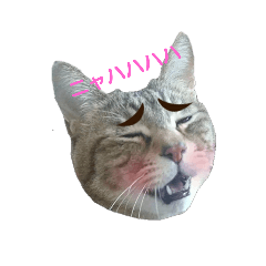 [LINEスタンプ] えるとべる