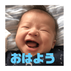 [LINEスタンプ] ★うちの子★