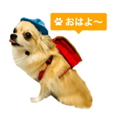 [LINEスタンプ] びび(犬)すたんぷ 