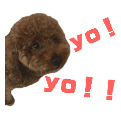[LINEスタンプ] ルミスタンプ 