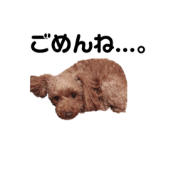 [LINEスタンプ] Messi♡ 