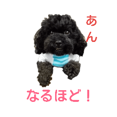 [LINEスタンプ] 瑠璃亜の子供達①