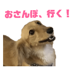 [LINEスタンプ] ミニチュアダックス～ゆず